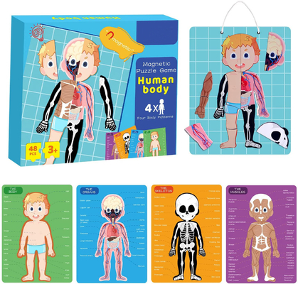 Un buon prezzo. 48pcs corpo umano magnetico didattico giocattoli puzzle per bambini di 3 anni in linea